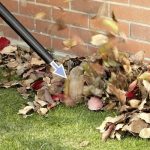 Aspiradora Sopladora 15 Litros 1000W KARCHER WD1 - Imagen 5
