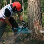 Motosierra 72.6 Cc. 3/8 28 5.7 Hp MAKITA Dcs7301 - Imagen 2